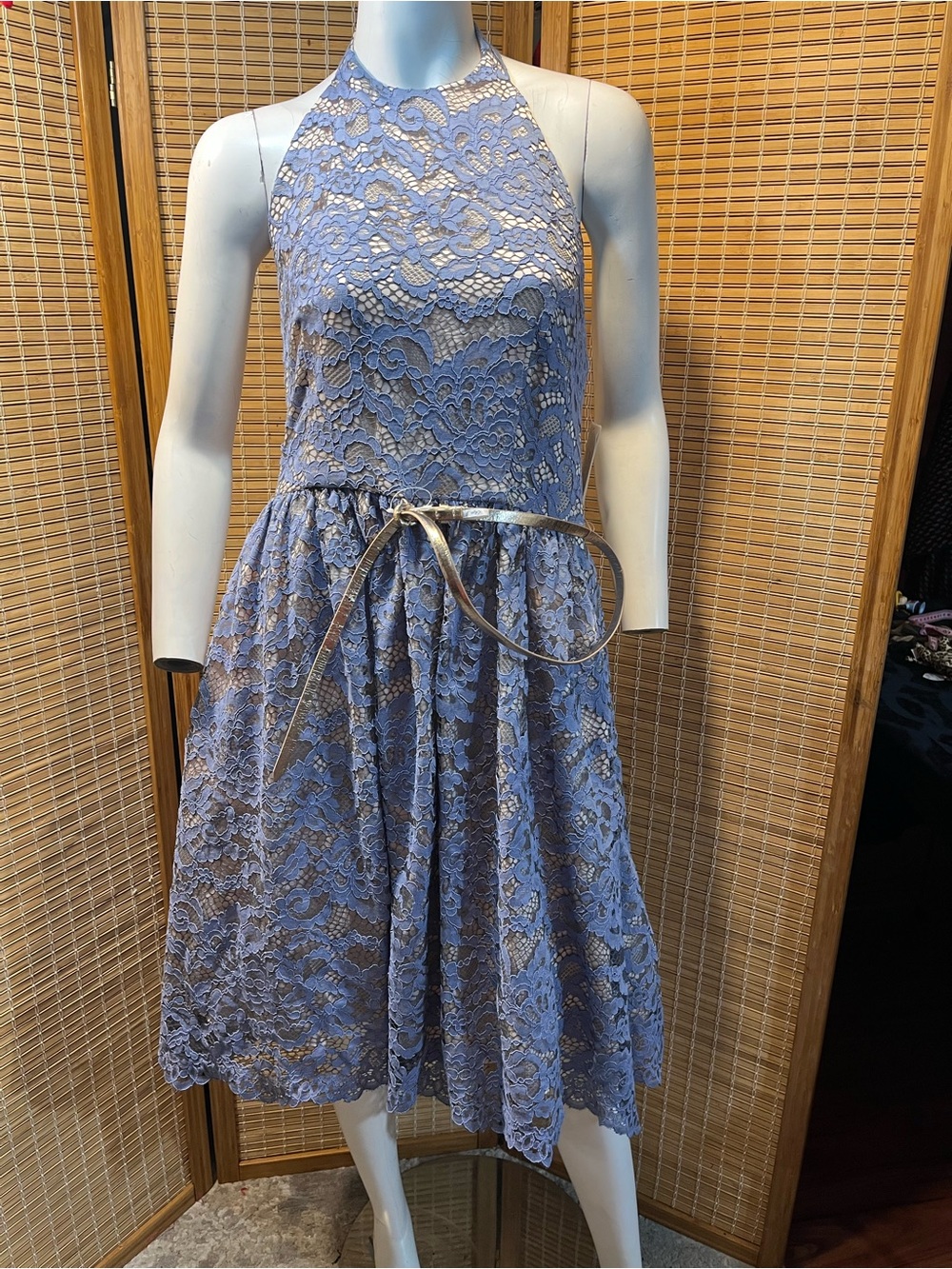 Gorgeous floral lace defines an elegant fit-and-flare dress Sz 12